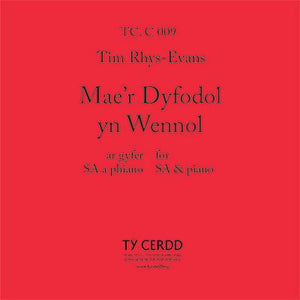 Mae'r Dyfodol yn Wennol