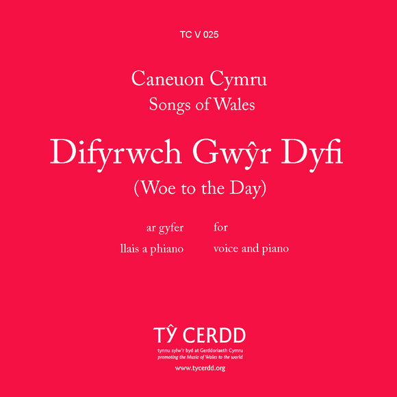 Difyrwch Gwŷr Dyfi