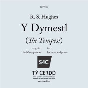 R S Hughes - Y Dymestl