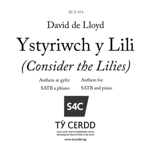 David de Lloyd - Ystyriwch y Lili (Consider the Lilies)