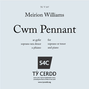 Meirion Williams - Cwm Pennant