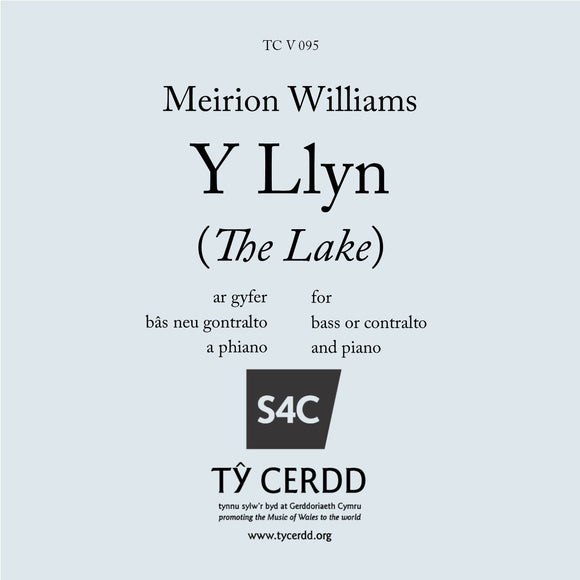 Meirion Williams - Y Llyn
