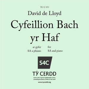 David de Lloyd - Cyfeillion Bach yr Haf (SA)