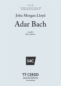 John Morgan Lloyd - Adar Bach